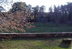 jardin vue sur bois